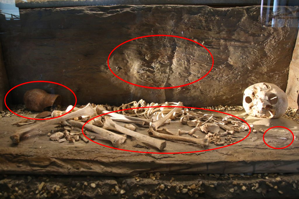 Burial objects at Leominster Museum